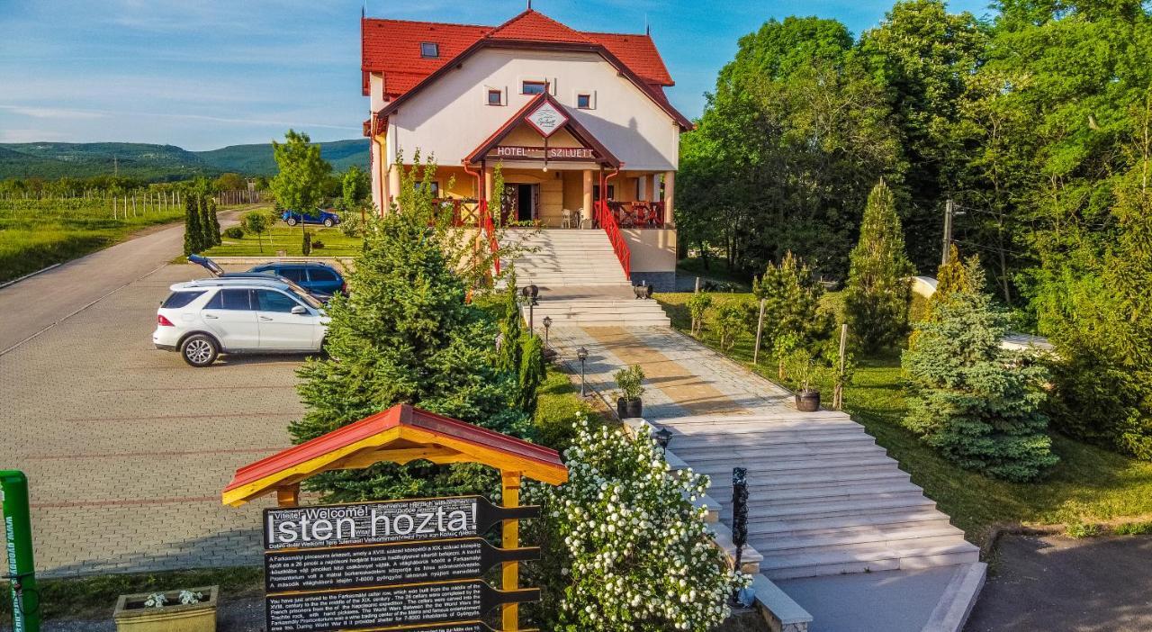 Borhotel Sziluett Farkasmály Gyöngyös Esterno foto